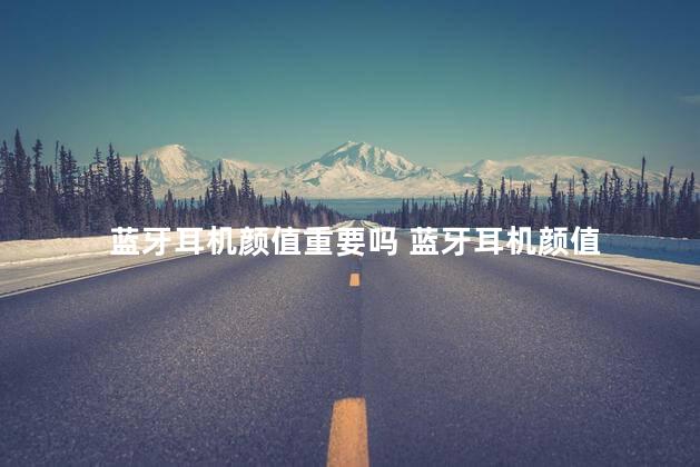 蓝牙耳机颜值重要吗 蓝牙耳机颜值